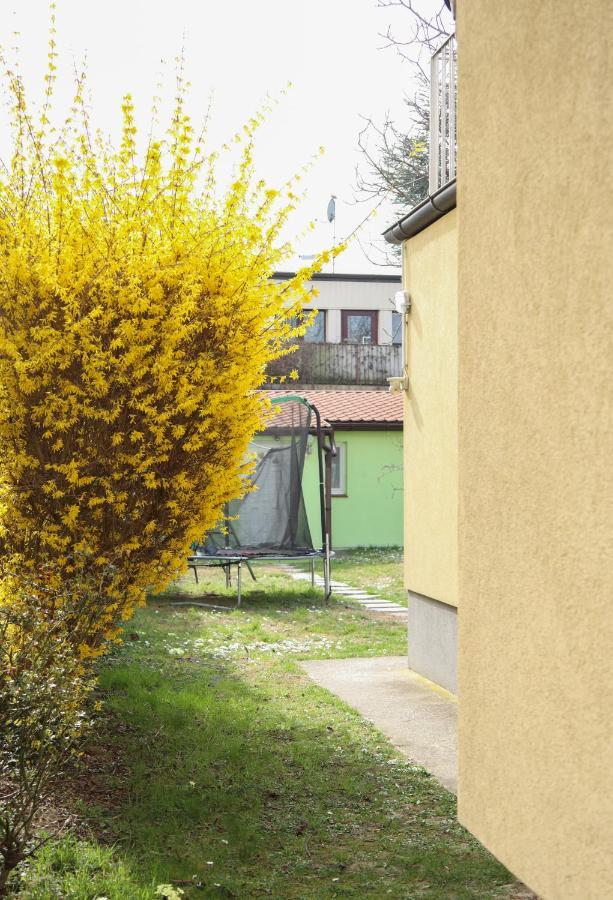 Small-Comfy Guest House In Donaustadt Garden - Not Shared! Wien Ngoại thất bức ảnh